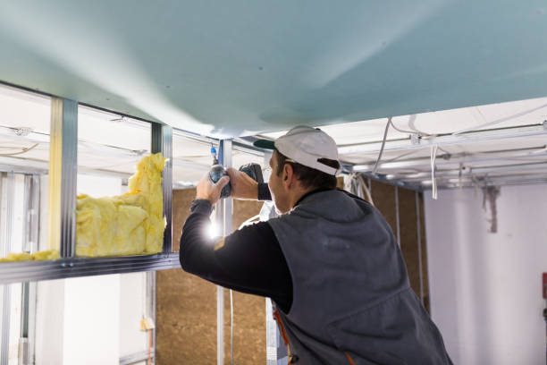 Best Pipe and Duct Insulation  in Willow Grove, TX