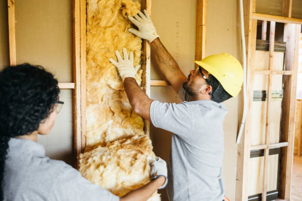 Types of Insulation We Offer in Willow Grove, TX